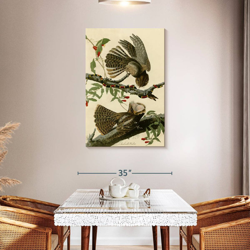 Brampt Chuck-Will's Widow, 45" H x 30" W