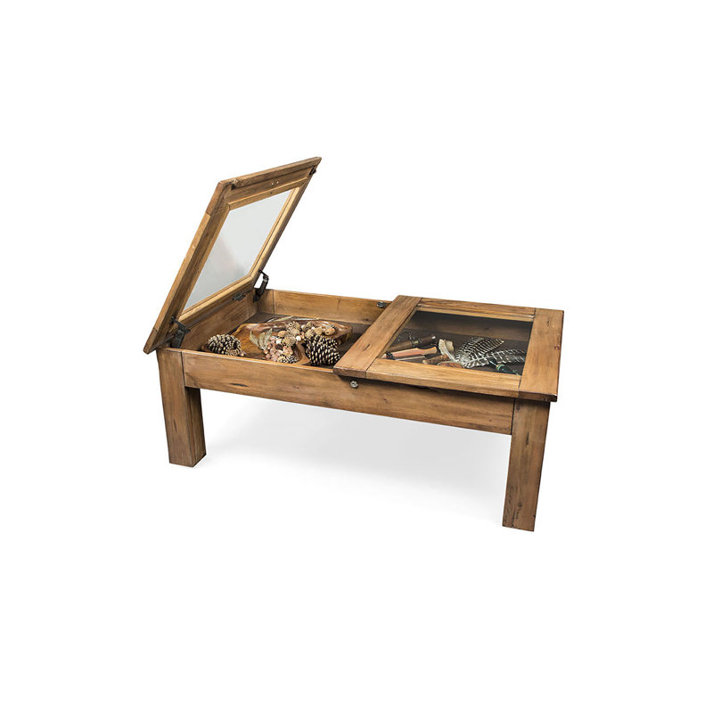 Table basse avec rangement vitrine Kingsville, Brun pâle