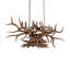 10 - Light Chandelier