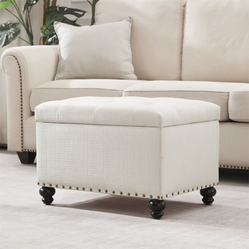 Repose-pieds rectangulaire avec rangement Dhiren, Beige Jensen Performance