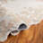 Jardin Hand Tufted Wool;Cotton Floral Indoor Rug-117806909