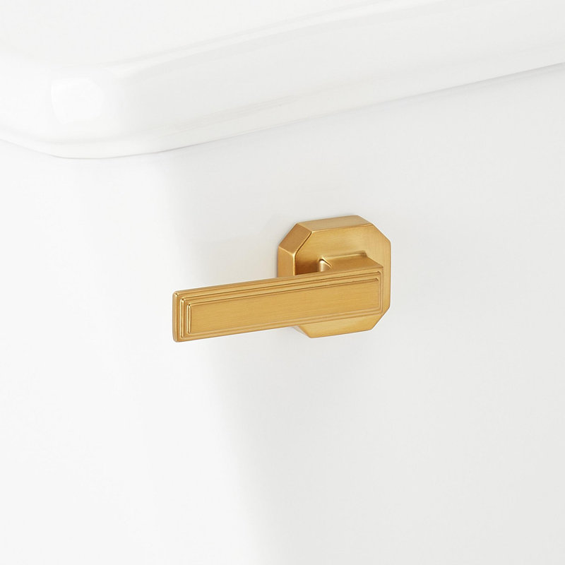 Benbrook 1.28 GPF Two Piece Elongated Toilet, Black/Brushed Gold