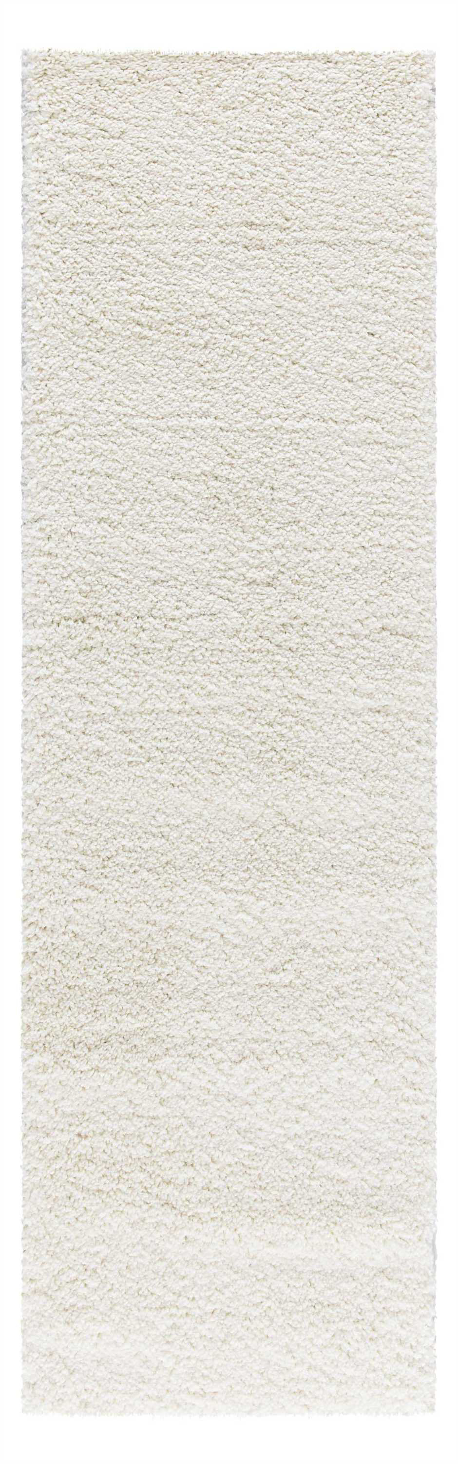 Eider & Ivory™ Sunny Shag Ivory Area Rug | Wayfair