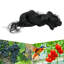 Filet Crop Orchard-1682805124