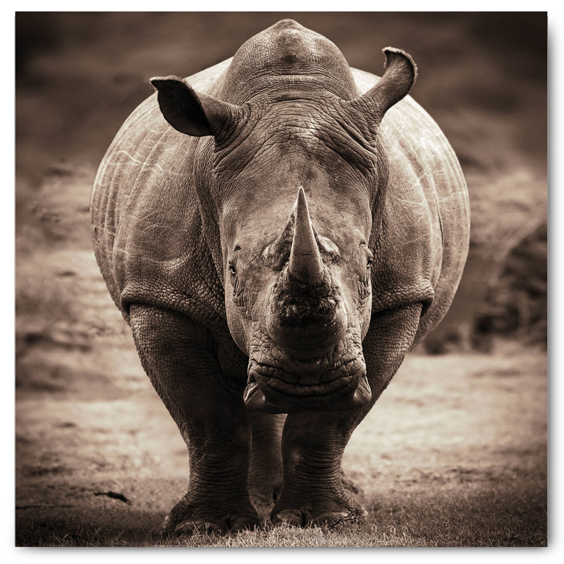 Rhino - No Frame Print on Glass, Picture Frame