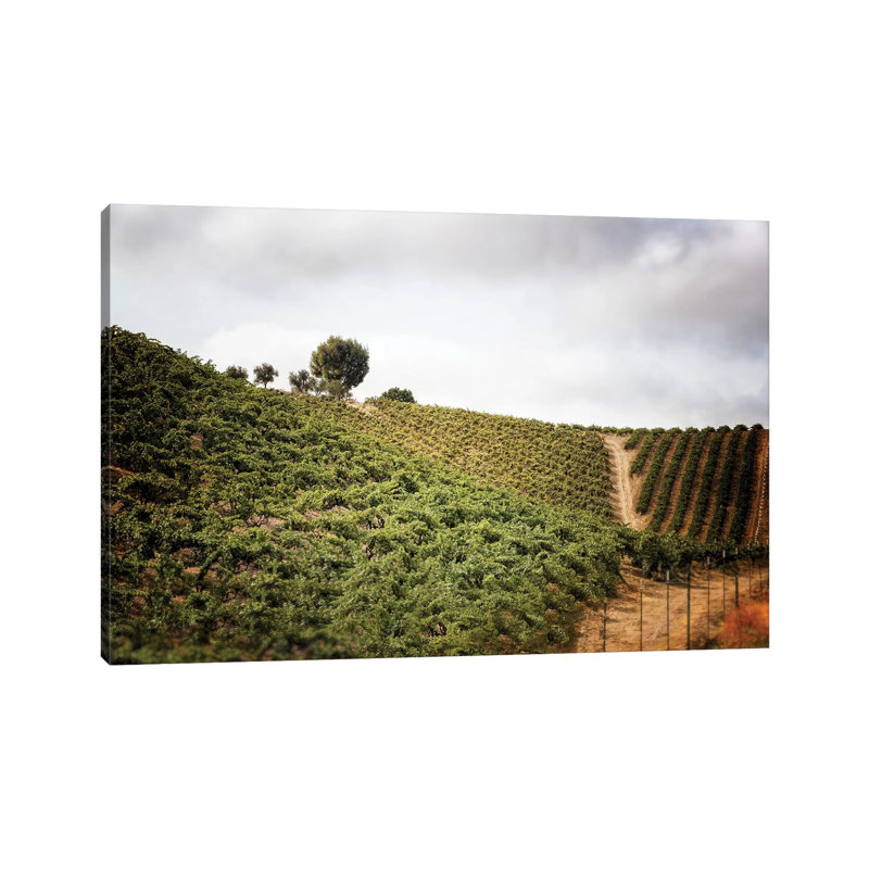 Paso Robles par Michelee Scott - Photographie sur toile tendue, H 12 po x l 18 po x 1,5 po
