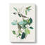 Warbling Flycatcher Birds by John Audubon - Wrapped Canvas-55370042