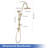 Rainlex Rain Shower System Multi-function Hand Shower with  Slide Bar-82851307