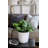 Aria Round Self Watering Planter-337768586-337768587