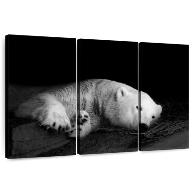 Ours polaire endormi