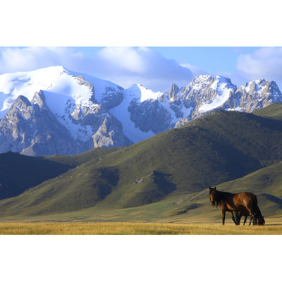 Alpaugh Horses in the Mountains 1 Piece Wrapped Canvas Wall Art