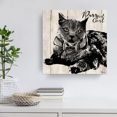 " Cat Purrfect Gent "