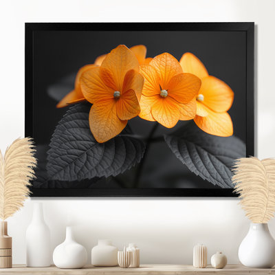 Orange orange, parfum d'hydrangées et d'hortensias muraux