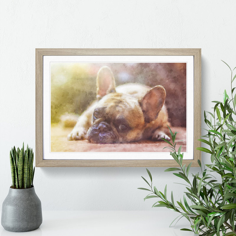 Fawn French Bulldog Dog - Framed Print, 24cm H x 33cm W x 2cm D, Oak Framed