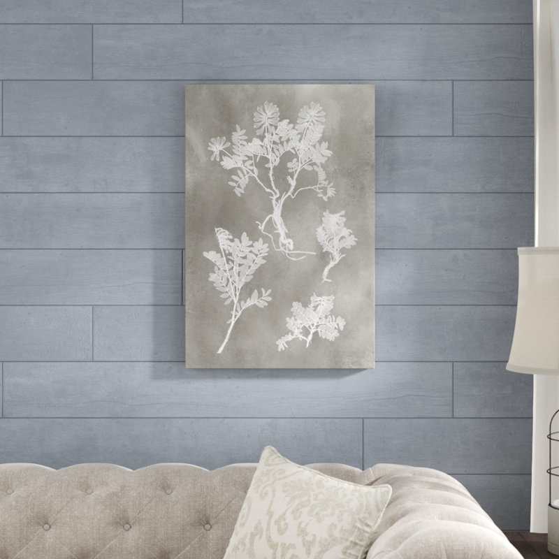 'Herbarium Study II' by Vision Studio - Painting Print, Wrapped Canvas, 76cm H x 51cm W