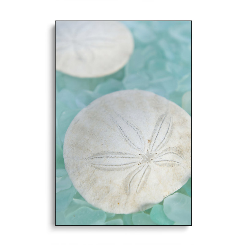 Reproduction d'art sur toile en métal Steemplix - verre de mer 3 par Alan Blaustein