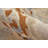 Casual Abstract, Ivory/Blue/Brown Area Rug-291872909