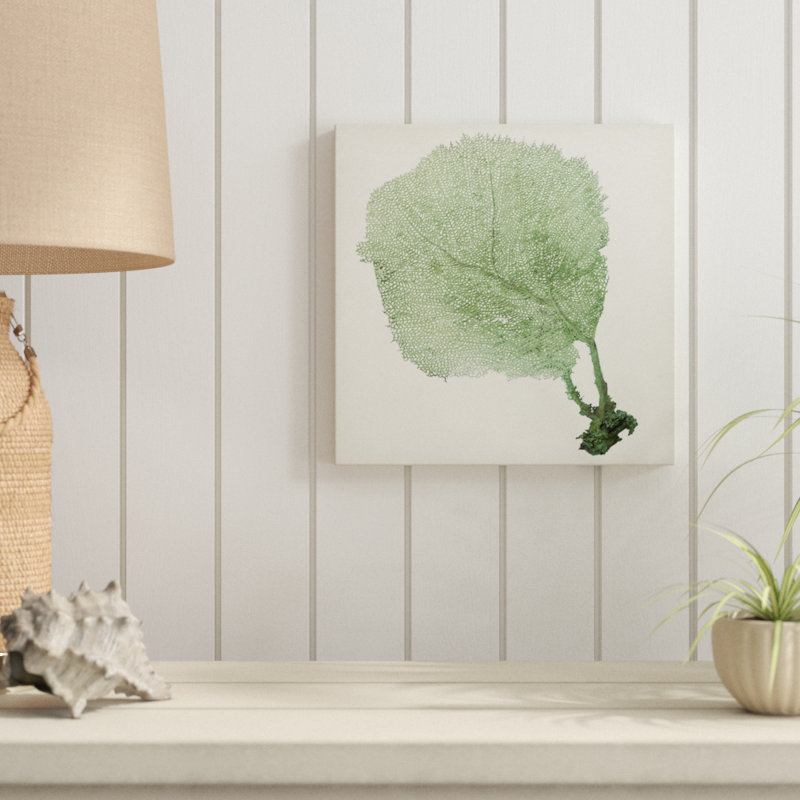 «Sea Fan II», peinture sur toile, H 20 po x l 20 po