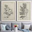 «Antique Black and White Botanical IV», ensemble de 2 reproductions d'art sur toile-1516307831-1516307828