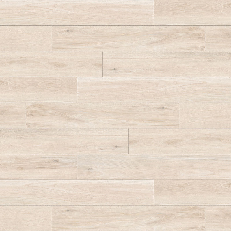 Carrelage de sol en porcelaine aspect bois Renew 8X48, Peuplier blanc