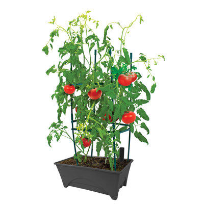 Fentress Elevated Planter