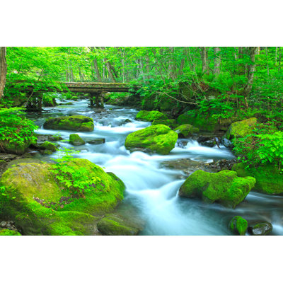 Stream in Green Forest - peinture sur toile tendue