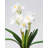 Real Touch White Narcissus 13”