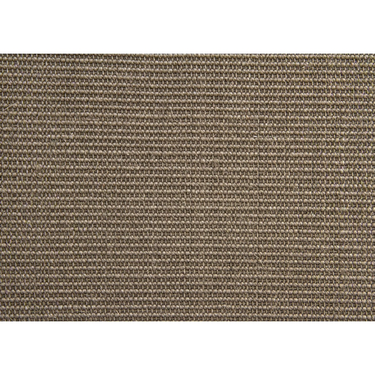 Areesha Solid Colour Flatweave Area Rug