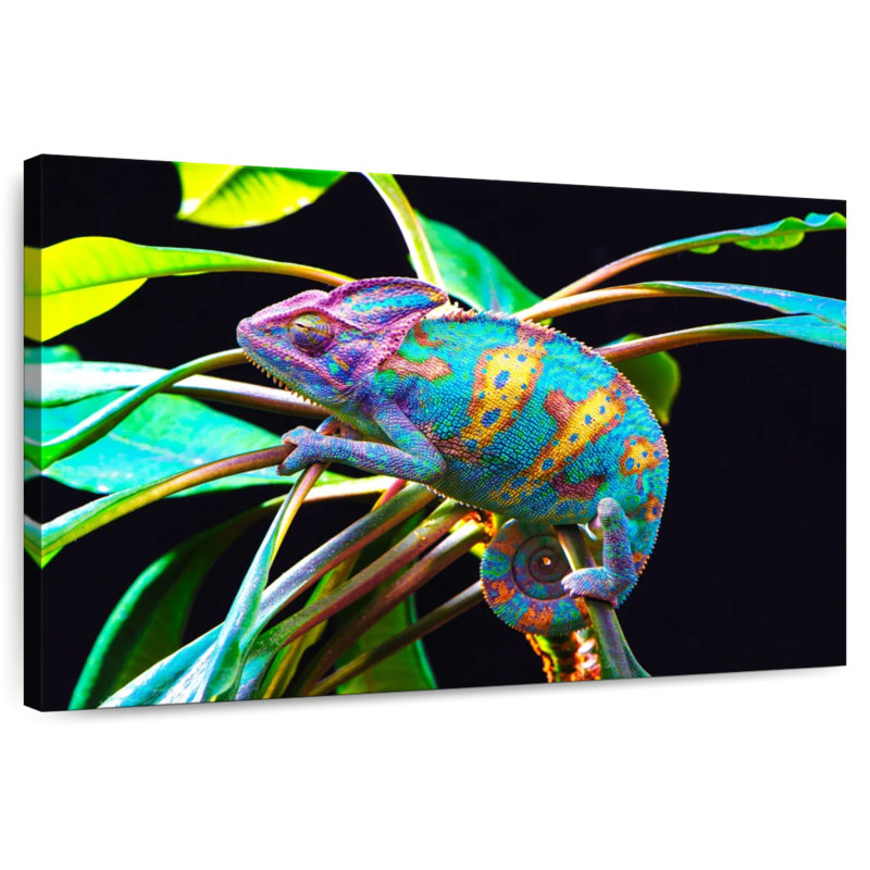 Brampt Chameleon, 8" H x 12" W