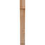 Attelle de genou Legacy-64751483-64784765