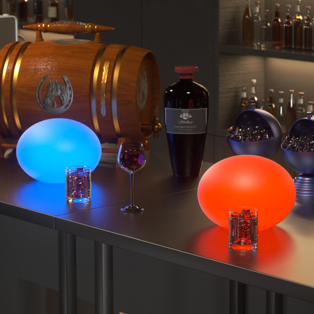 Plazonja LED Egg Shape Lamp Color Changing Night Light lighting Home Décor Wrought Studio™ Base 