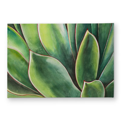 Watercolor Agave Plant Door Mat - Floral & Botanical Decor