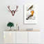Bird Illustrations PL. 51 by Charles D' Orbigny - Wrapped Canvas Painting-55363339
