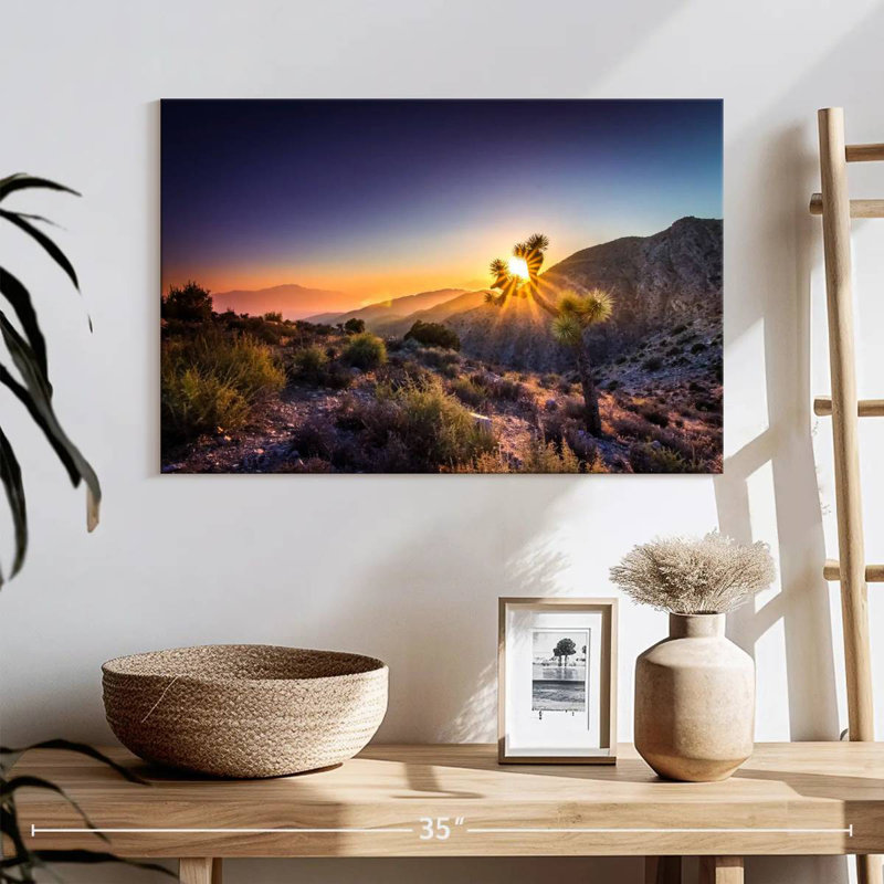 Hannes California Desert Sunrays, H 16 po x l 24 po