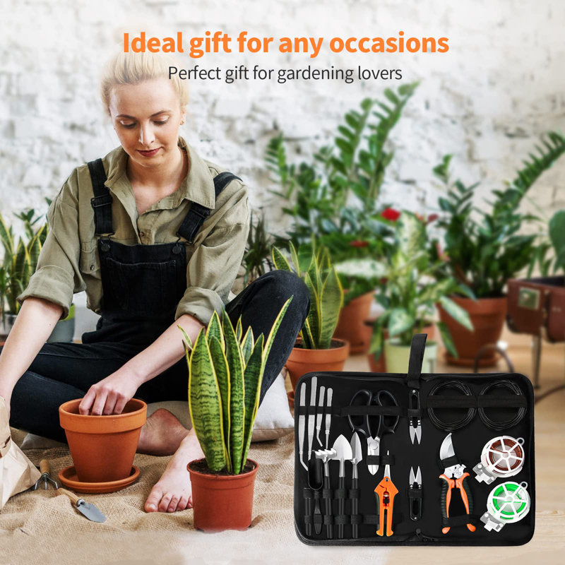Ensemble d'outils pour jardin 20 pièces Bonsai Succulent Tree