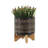 Set Of 2 Glazed Ceramic Planters With Black Metal Stands