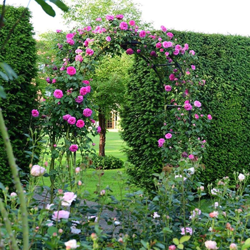 Treillis d'arche de jardin en métal, treillis réglable pour support de plantes grimpantes, H 16 po x l 92 po x P 53 po