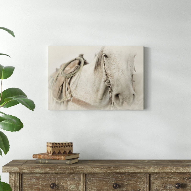 Cow Pony by PHBurchett - Wrapped Canvas Photographic Print, 51cm H x 76cm W, Wrapped Canvas