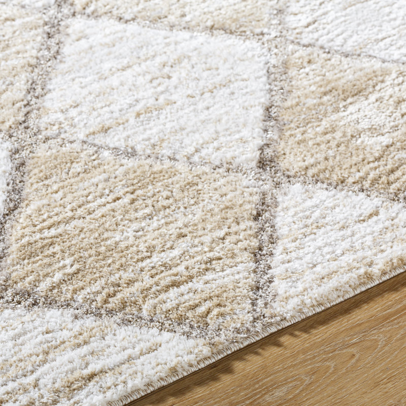 Jean-Paul Geometric Indoor Rug, Rectangle 5'3" x 7'