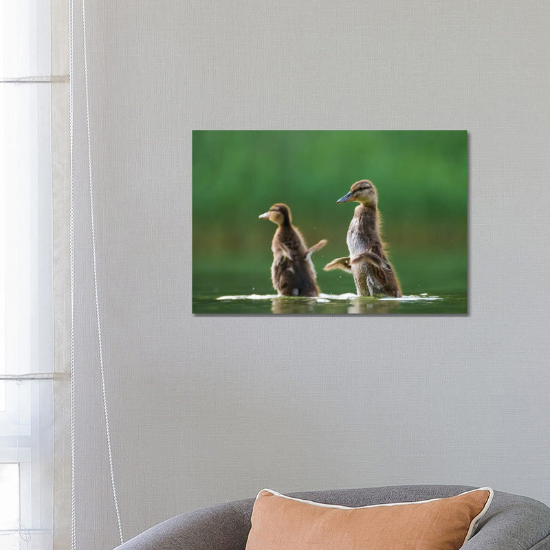 I Want to Fly 1 Piece Wrapped Canvas Wall Art, 66.04 cm H x 45.72 cm W x 3.175 cm D
