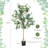 165Cm Artificial Maple Tree in Planter