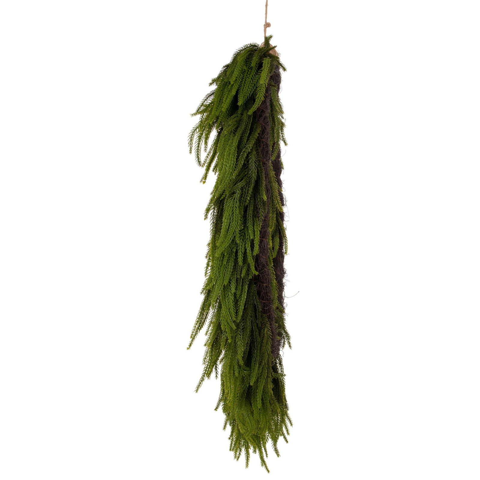  30" Green Norfolk Pine Wreath., 36" x 36"