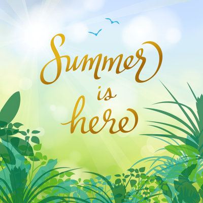 Summer Is Here by Exxorian - Wrapped Canvas Print