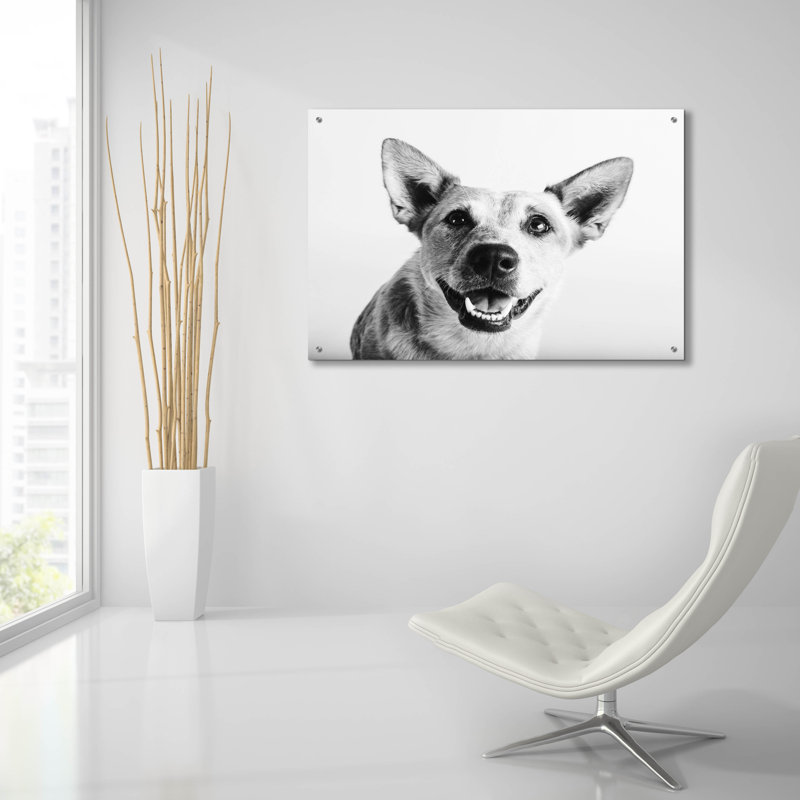 " Irma " by Susan Sabo, 24" H x 36" W x 0.2" D