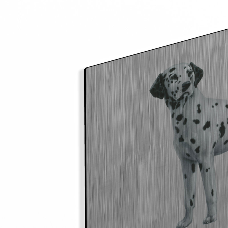 «Dalmatian» par Harro Maass, H 16 po x l 24 po