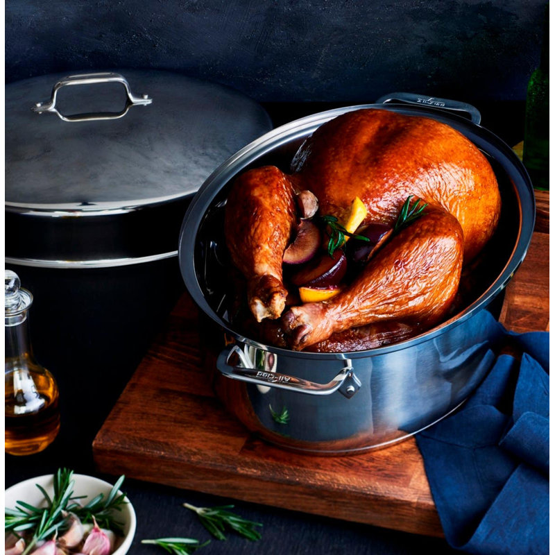 All-Clad Specialty 19.5 in. Stainless Steel Roasting Pan