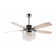 Maez 52'' Ceiling Fan with Light Kit