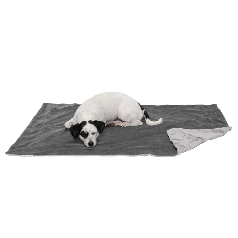 Granite Gray Medium Waterproof Velvet Pet Blanket