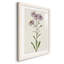 Mauve Garden Flowers III - peinture encadrée-53124333-53124329