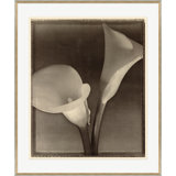 Sepia Flowers 9 Print by Bespoke By Baker